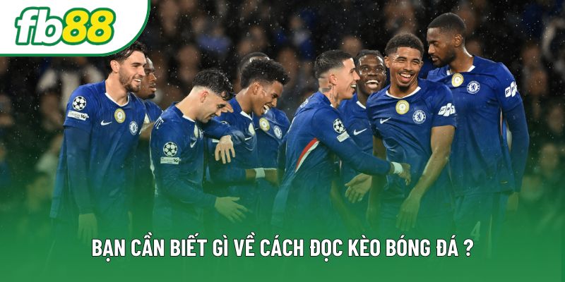 Bạn cần biết gì về cách đọc kèo bóng đá ? Bạn cần biết gì về cách đọc kèo bóng đá ?