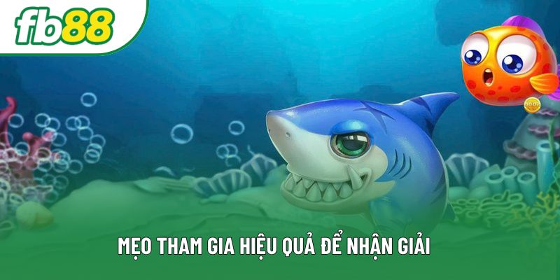 Mẹo tham gia hiệu quả để nhận giải Mẹo tham gia hiệu quả để nhận giải