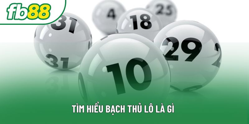 Tìm hiểu bạch thủ lô là gì Tìm hiểu bạch thủ lô là gì