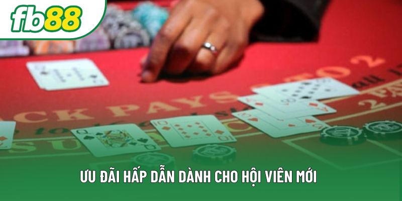 Ưu đãi hấp dẫn dành cho hội viên mới Ưu đãi hấp dẫn dành cho hội viên mới